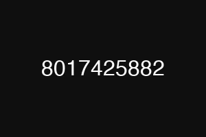8017425882