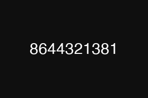 8644321381