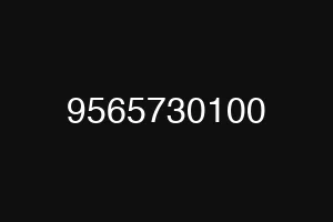 9565730100