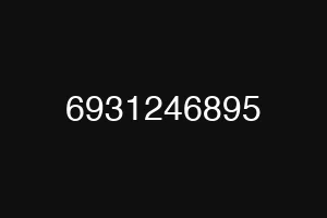 6931246895