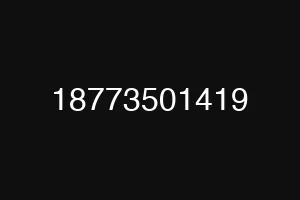 18773501419