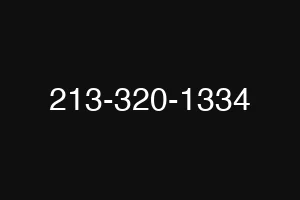213-320-1334