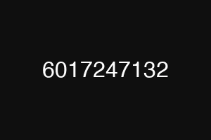 6017247132
