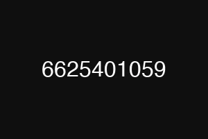 6625401059