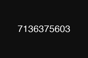 7136375603
