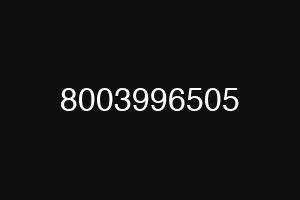 8003996505