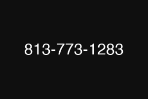 813-773-1283