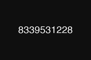 8339531228