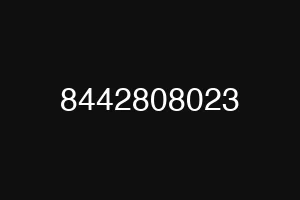 8442808023