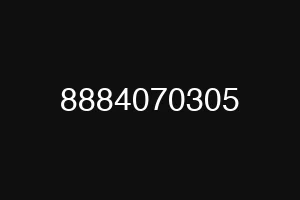 8884070305