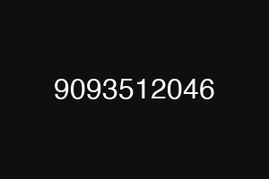 9093512046