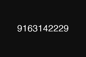 9163142229