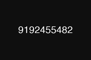 9192455482