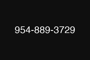 954-889-3729